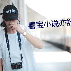 喜(xǐ)宝小说亦舒