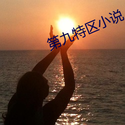 第九特区小说