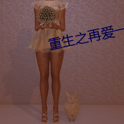 重生之再愛一次
