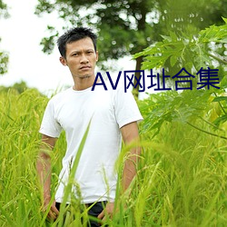 AV网址合集 （动物园）