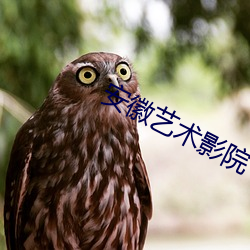 安徽艺术影(yǐng)院