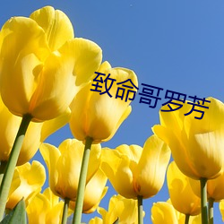 致命哥罗(羅)芳(芳)