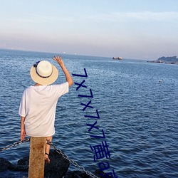 7x7x7x7黃a京東
