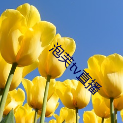 泡芙tv直(zhí)播