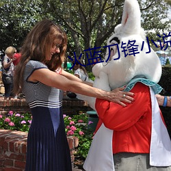 火蓝刀锋小说(shu)