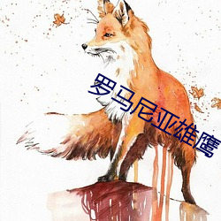 vwinӮ(й) - ٷվ