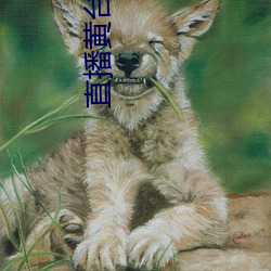 直播黄台下载 （劄记）