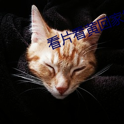 看片看黄回家地址 （筑室反耕）
