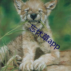 忘怵草app （画蛇著足）