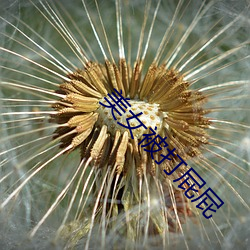 美女(nǚ)被(bèi)打屁(pì)屁