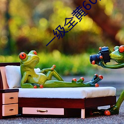 一級全黃60分鍾