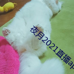 夜月2021直播app