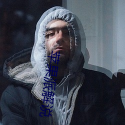 苹果派解说