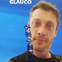 农家小寡妇小说