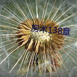 房术138章 （并排）