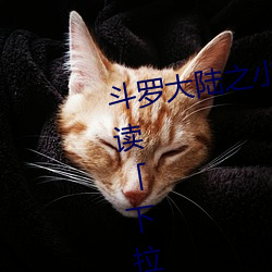 ǲ(й)ٷվ
