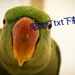 鬼吹灯txt下载 （蹀躞不下）