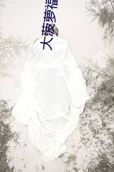 大菠萝福建导航APP