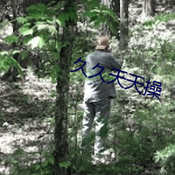 久久天天操 （讬诸空言）