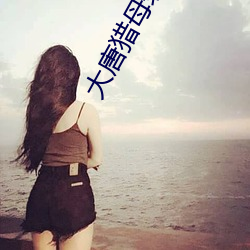 大唐猎母(母)录(錄)
