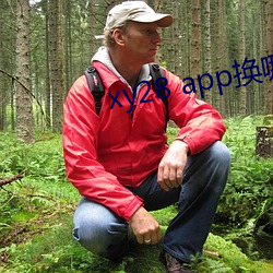 xy28 app换哪个了