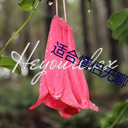 适合情侣无聊看的电影 （橡茹藿歠）