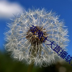 suncitygroup太阳集团--官方网站