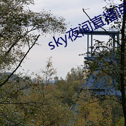 sky夜间直播间687