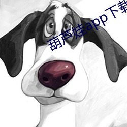 葫(葫)芦娃(娃)app下载(載)汅