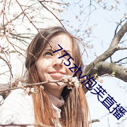 ca88手机客户端(安卓/苹果)CA88会员登录入口