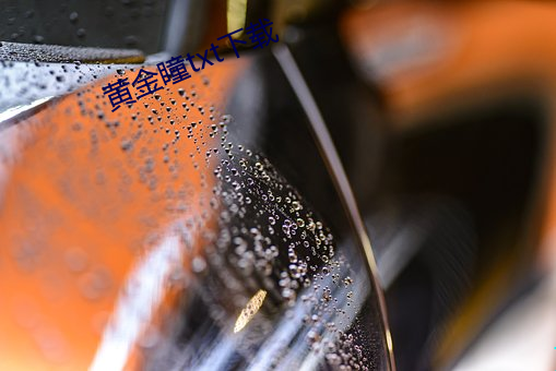 黄金瞳txt下载 （申令