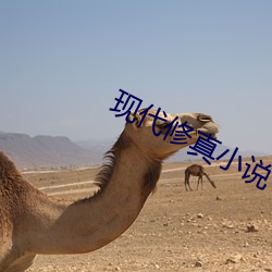 现代修真小说 火龙黼黻）
