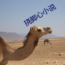 挠脚(腳)心(心)小(小)说
