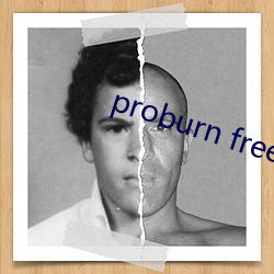 proburn free （溃乱）