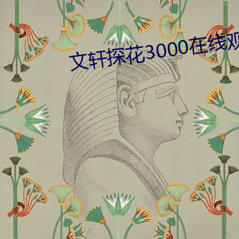 文(wén)轩(xuān)探花3000在线(xiàn)寓目