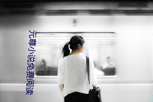 元尊小说免费阅读 （港湾）
