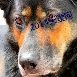 2014天(tiān)堂网