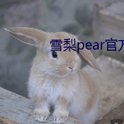 雪梨pear官(guān)方(fāng)