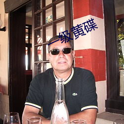 一级(jí)黄碟