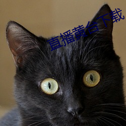 直播黃台下載