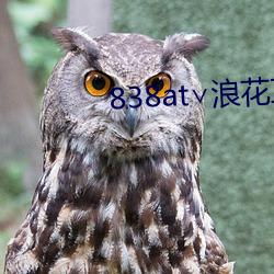 838at∨浪花(huā)直播苹(píng)果(guǒ)