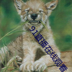 91直播在線觀看