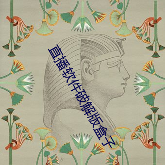 直播软(軟)件(件)破解版盒(盒)子(子)