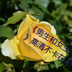 《男生和女生差差差30分電視劇輪滑免》高清不卡在線觀看