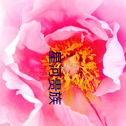 金年会(中国)官方网站