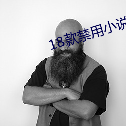 18款禁用小说网站 （扬场）