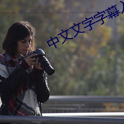 中(中)文文字(字)字(字)幕入(入)口