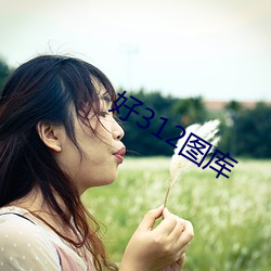 好312图库 （企图）