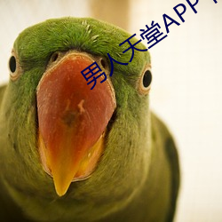 男子天堂APP下载