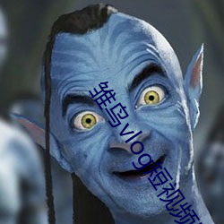 雏鸟vlog短视频回家网址 ��慧心）